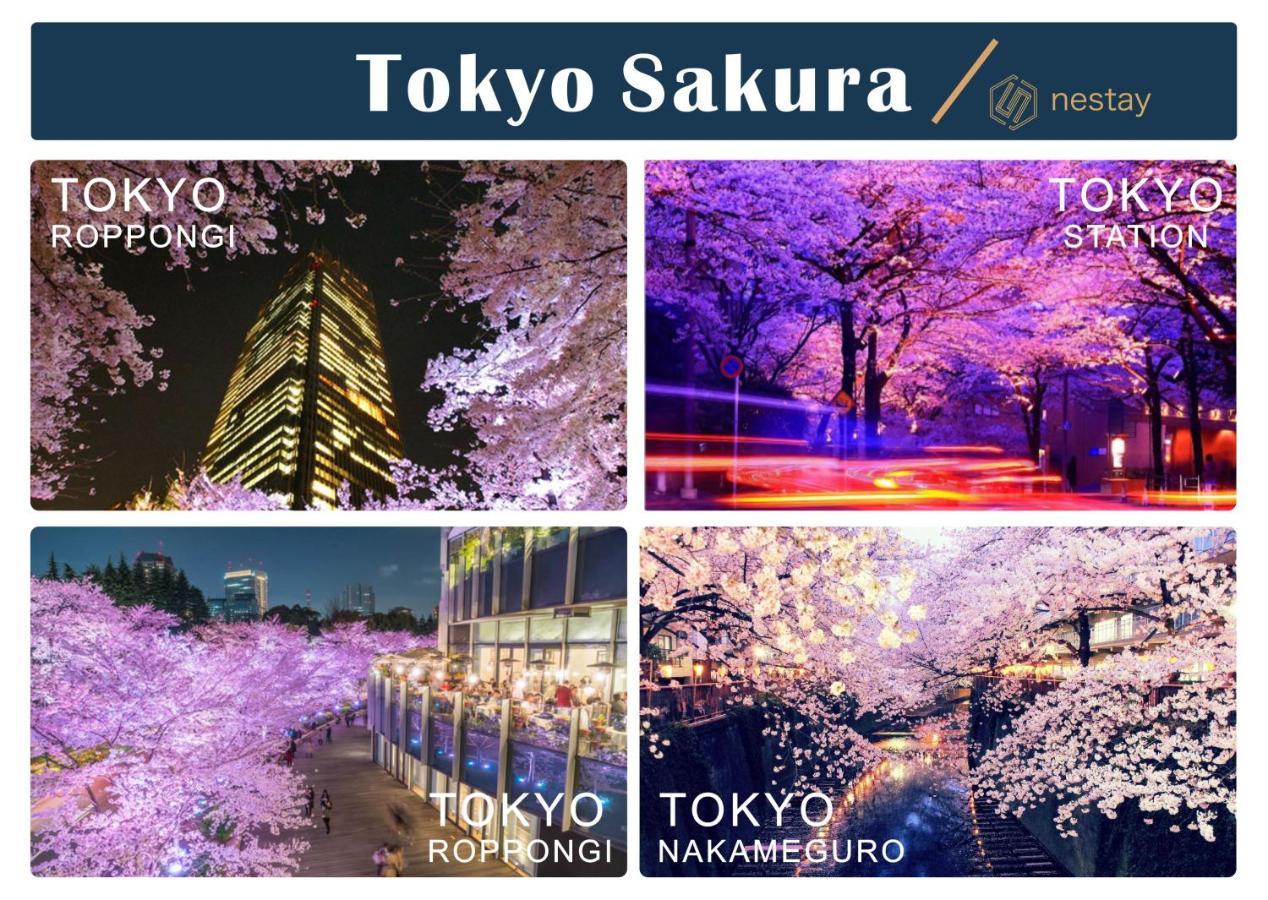 Nestay Inn Tokyo Otsuka 403 Екстер'єр фото